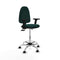 Piqueras y Crespo B2D05RF - Bureaustoel - Hoogteverstelbaar met armleuning - Groen
