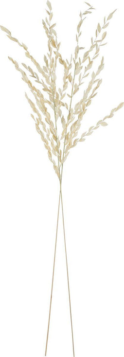 J-Line gedroogde Bladeren - jute - naturel - large