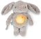 INGENUITY Baby Nachtlampje, Konijn Knuffel, Sylvie Pluche, Reageert op Baby's Huilen, Muzikaal, Lichtgevend, Witte Ruis en Speenclip