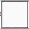 vidaXL - Projectiescherm - 1:1 - 72''