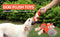 Hondenknuffel - Interactief piepspeelgoed voor honden - Teddy - Stoer hondenkauwspeelgoed - Met katoenen materiaal en gekreukt papier - Hondenspeelgoed voor grote en kleine honden