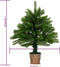 vidaXL - Kunstkerstboom - met - levensechte - naalden - 65 - cm - groen
