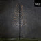 Luca Lighting Garden d'Light Boom met Klassiek Witte LED Verlichting - H150 cm - Zwart