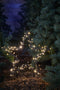 Luca Lighting Garden d'Light Ster Tuinsteker met Warm Witte LED Verlichting - L60 x H73 cm - Zwart