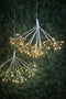 Luca Lighting Kerstverlichting Paardenbloem met 100 Klassiek Witte LED Lampjes - Ø50 cm - Zilver