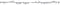Luca Lighting Snake Kerstverlichting - L2000 cm - 1000 led - Wit