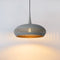 Lucide RAYCO - Hanglamp - Ø 45 cm - 1xE27 - Grijs