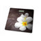 Łucznik BS-973 W14 Plumeria Elektronische Waage