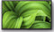 Sony Bravia KD-32W804P - Televisie - 32 inch HD - Android TV met Chromecast