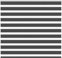 vidaXL - Zebra - rolgordijn - 160x150 - cm - stofbreedte - 155,9 - cm - zwart