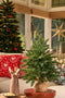 Triumph Tree Abies Nordmann Deluxe Kunstkerstboom - H60 x Ø53 cm - Groen