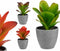 Decoratieve plant Plastic (6 Stuks) (11 x 20 x 11 cm)