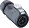 Lumberg 0252 02 Ronde connector Stekker, recht Totaal aantal polen: 2 1 stuk(s)