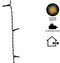 Lumineo Kerstverlichting - 480 leds -classic warm wit -3600 cm - black cable - timer en dimmer