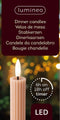 Lumineo LED dinerkaarsen - 2x st - lichtroze -H24,5 cm - met timer functie