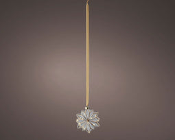 Lumineo - Micro LED bloem binnen L8-W19-H19cm clear/warm white