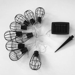 Lumisky Keniaanse kooislinger met 10 decoratieve bloembollen