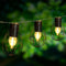 Lumisky Keniaanse kooislinger met 10 decoratieve bloembollen