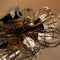 Lumisky Keniaanse kooislinger met 10 decoratieve bloembollen
