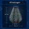 Lumiz Solar Tuinverlichting - Tuinverlichting op zonne energie - Tuinverlichting - Buitenlampjes - Tuinverlichting op zonneergie - Buitenverlichting - Decoratie - Lace Tulip - 20 cm - Groen