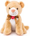 Lumpin leeuw Babu 32 cm
