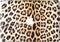 Lunso Geschikt voor MacBook Air 13 inch (2010-2017) vinyl sticker - Leopard Brown