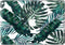 Lunso Geschikt voor MacBook Air 13 inch (2010-2017) vinyl sticker - Green Leaves