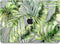 Lunso Geschikt voor MacBook Pro 13 inch M1/M2 (2020-2022) cover hoes - case - Green Jungle