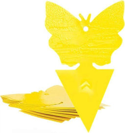 Fruitvliegjes Vanger - Rouwvliegjes Vanger - Gifvrij - 24 Plakstrips