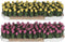 Luville - Tulip field 2 pieces - Kersthuisjes & Kerstdorpen