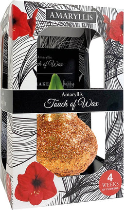 Luxe Bloembol Rode Amaryllis Wax kaarsvet Glitter Oranje cadeauverp...