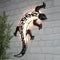 LuxeLivin' - Tuinwandlamp Solar Gecko LED