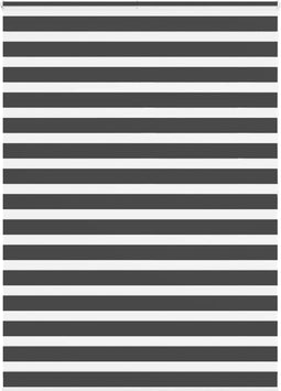 vidaXL - Zebra - rolgordijn - 155x200 - cm - stofbreedte - 150,9 - cm - zwart