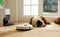 Roborock S8 MaxV Ultra - Robotstofzuiger - 2,77 l Combi Wifi 67 dB - Wit