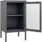 House Nordic Dalby Vitrinekastje - Grijs Staal - Glazen Deur - 38x70x35 cm