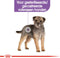 Royal Canin Sterilised Mini - Hondenvoer - 1 kg