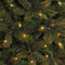 Triumph Tree Bristlecone - Kunstkerstboom met 184 LED-lampjes - H185 x Ø119 cm - Donkergroen
