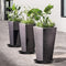 TStarJungle T002-Saucers-Black - Plantenschotels 24 cm - 5-pack (5 stuks)