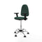 Piqueras y Crespo B2D05RF - Bureaustoel - Hoogteverstelbaar met armleuning - Groen