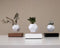 LYFE Planter – Zwevende plant – Walnoot hout
