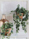 Mica Decorations Hedera - Kunstplant in keramieken pot - L45 x B25 x H25 cm - Groen