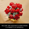 LEGO - 10328 - Botanicals Rozenboeket - 822 stuks