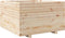 vidaXL - Plantenbak - 80x80x49,5 - cm - massief - grenenhout