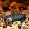 Evolved - The Gold Standard Bullet Vibrator - Zwart