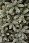 Black Box Trees Nagoya - Kunstkerstboom - 180 cm - 922 takken - Groen Frosted