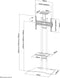 Neomounts PLASMA-M1700ES - Vloerstandaard voor LCD/LED/Plasma schermen t/m 70