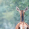 Customize it - Tuinschilderij van achteren 130x70