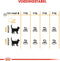 Royal Canin Hair & Skin Care - Kattenvoer - 2 kg