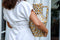 Return to Sender | Vaas Large 45 cm Leopard print handgeschilderd met handvat - Bloemenvaas