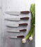 Déglon Evolution Y fileermes 17 cm – Palissander handvat